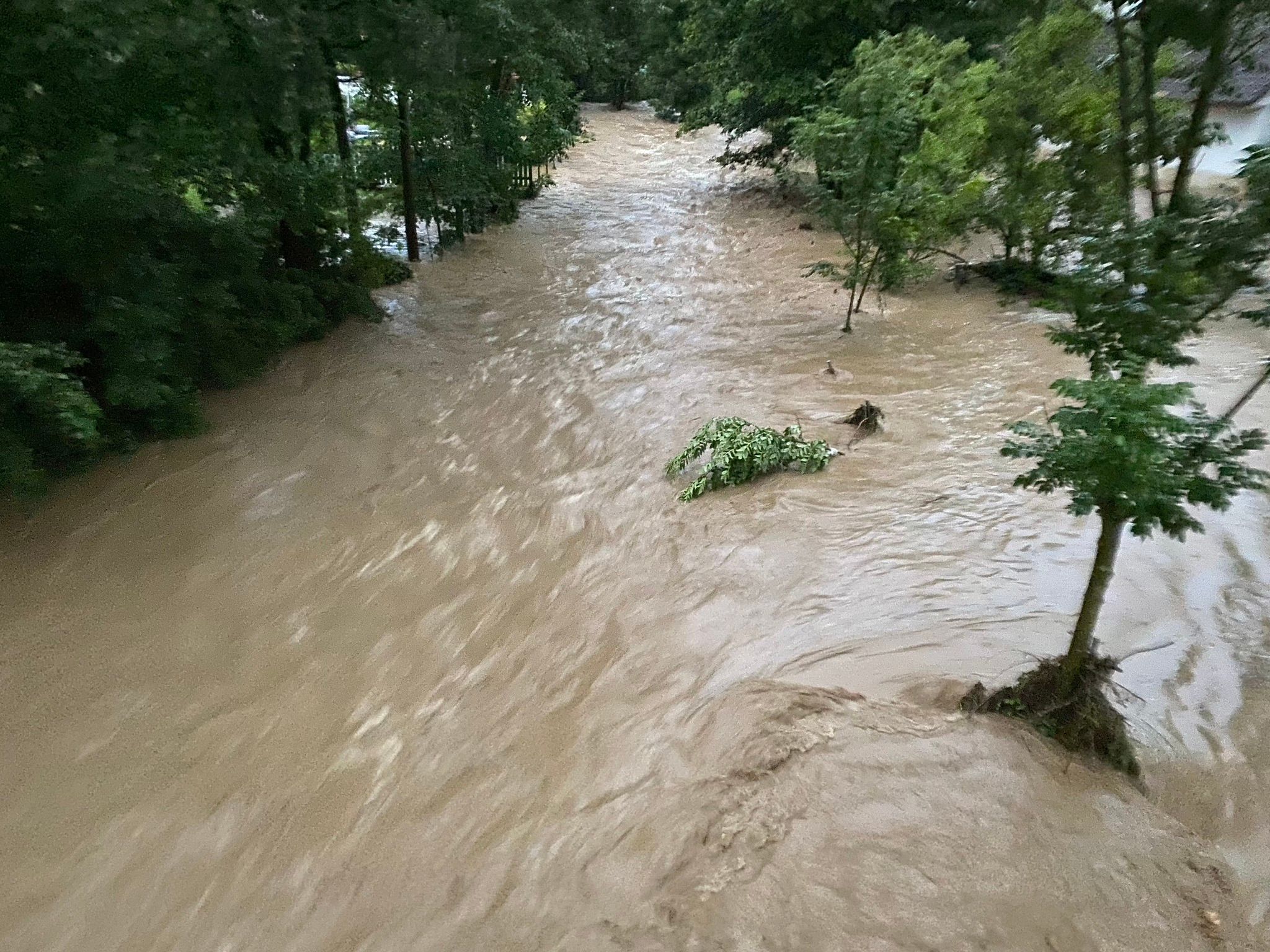 Koloměřice11